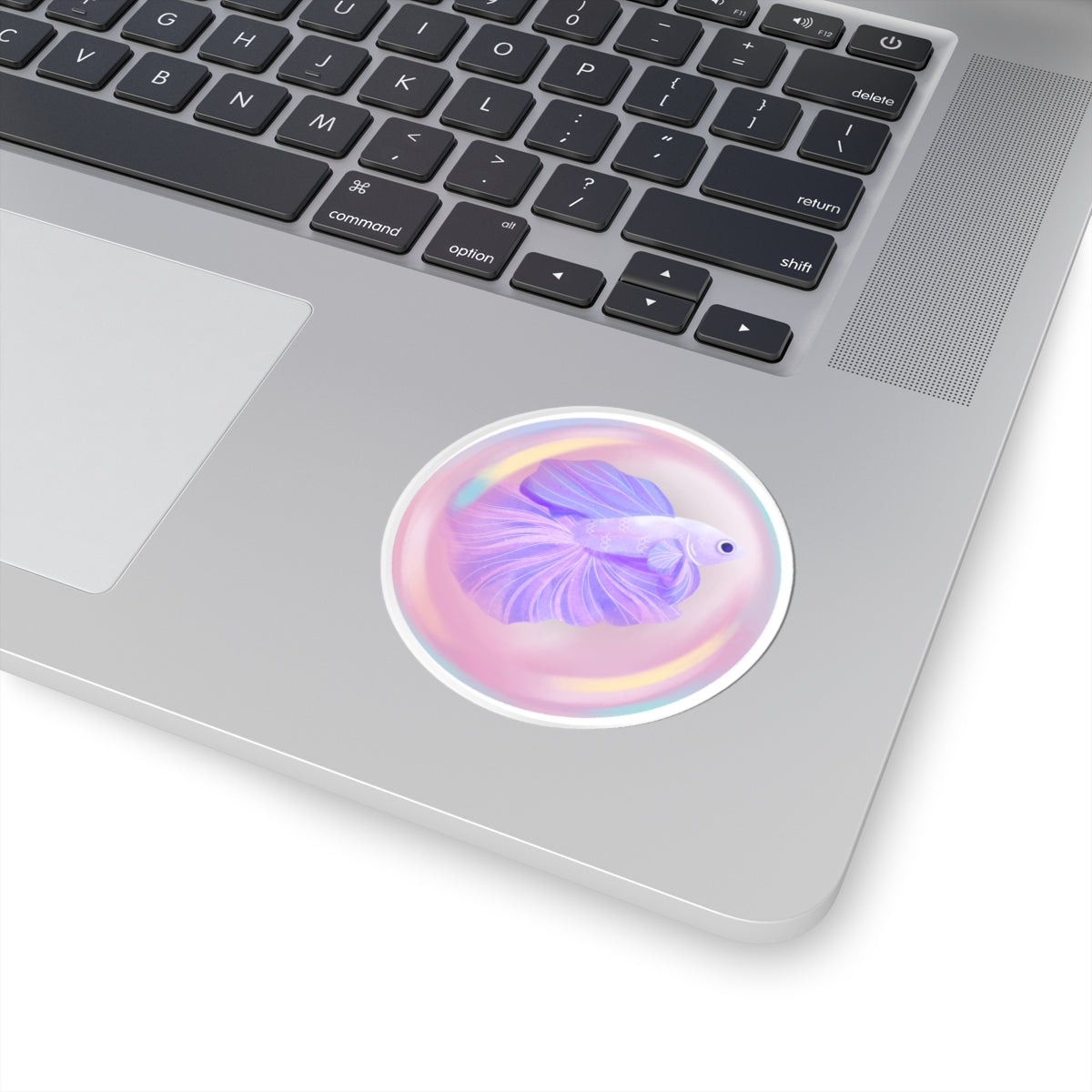 Betta Bubble Sticker | 3x3 Vinyl Decal